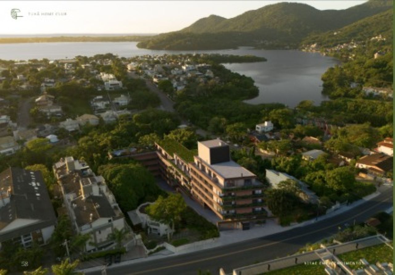 Tukã em Florianópolis